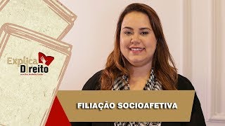 Explica Direito Filiação Socioafetiva  2019 [upl. by Frolick]