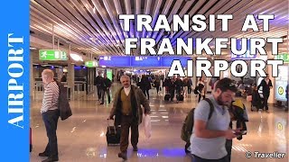 TRANSIT WALK AT FRANKFURT Airport FRA Terminal 1  Connection Flight Transfer Arriving amp Departing [upl. by Swerdna]